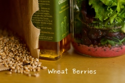 Photo of Wheat Berries